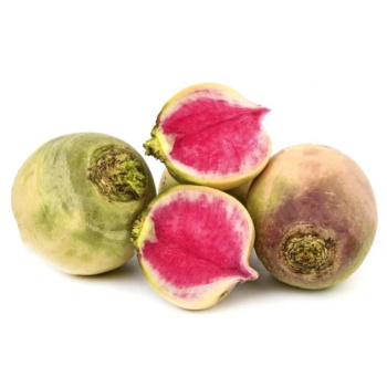 Редька сорт Арбуз 