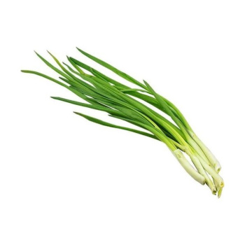 Лук зеленый 100гр