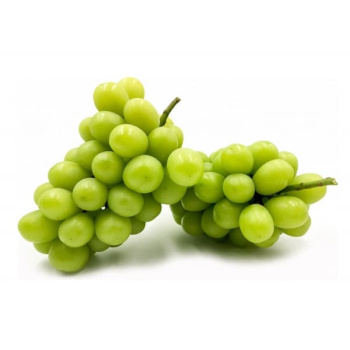 Виноград Мускат