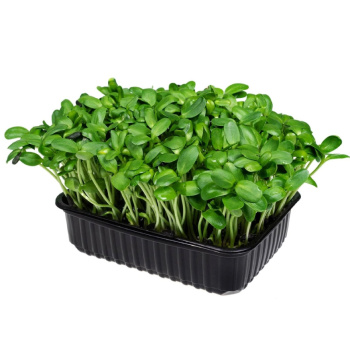 Подсолнечник, 30г