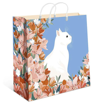 Пакет-сумка из мягкого пластика, 30 30 10 