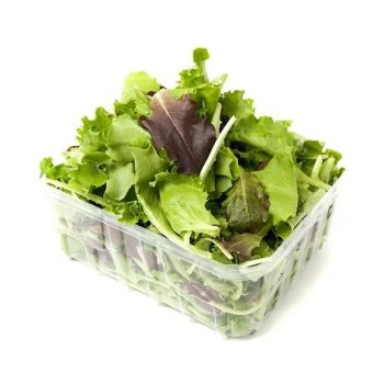 рук_манг_шп