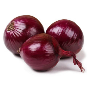 Лук Красный