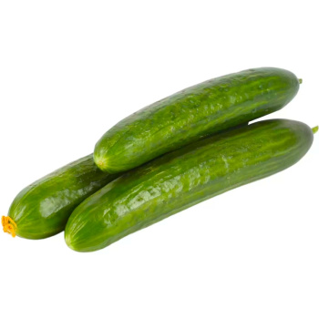 Огурец Среднеплодный гладкий