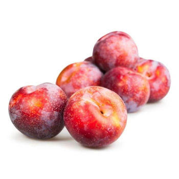 Слива красная 